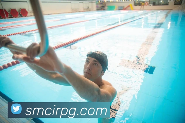 威尼斯人官网平台生态图